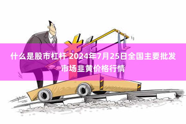 什么是股市杠杆 2024年7月25日全国主要批发市场韭黄价格行情