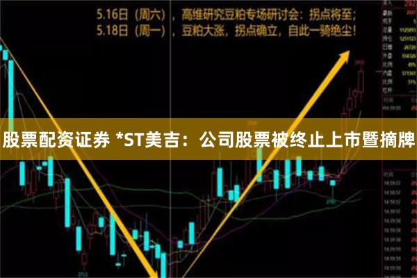 股票配资证券 *ST美吉：公司股票被终止上市暨摘牌