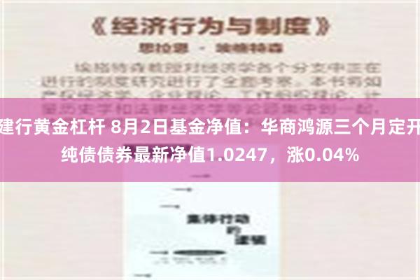 建行黄金杠杆 8月2日基金净值：华商鸿源三个月定开纯债债券最新净值1.0247，涨0.04%