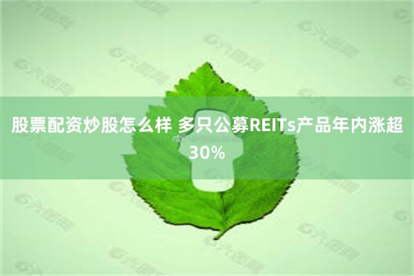 股票配资炒股怎么样 多只公募REITs产品年内涨超30%