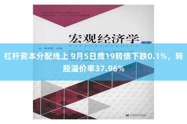 杠杆资本分配线上 9月5日鹰19转债下跌0.1%，转股溢价率37.96%