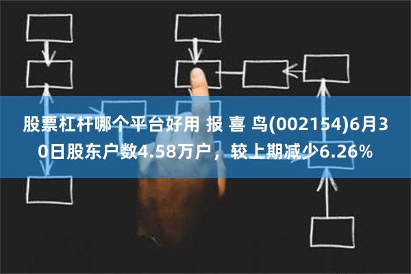 股票杠杆哪个平台好用 报 喜 鸟(002154)6月30日股东户数4.58万户，较上期减少6.26%