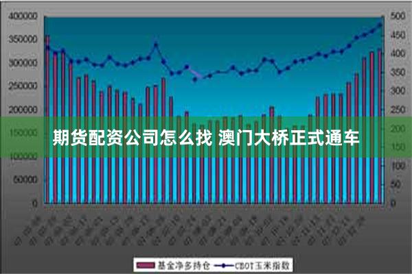 期货配资公司怎么找 澳门大桥正式通车