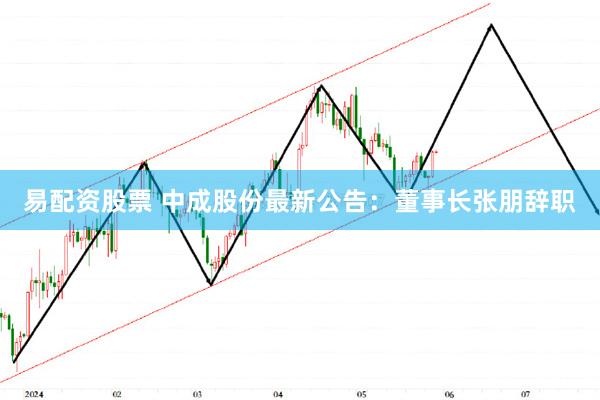 易配资股票 中成股份最新公告：董事长张朋辞职