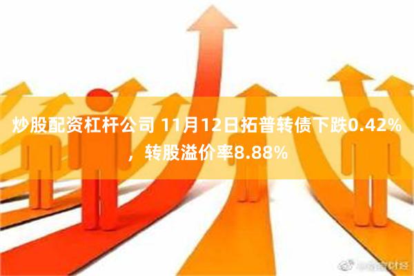 炒股配资杠杆公司 11月12日拓普转债下跌0.42%，转股溢价率8.88%